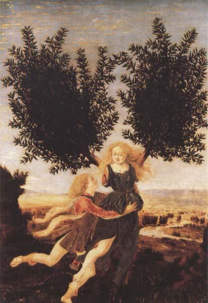 Antonio del Pollaiuolo Apollo and Daphne (mk45)